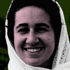 محاکمه حافظان محیط زیست: دادگاه عادلانه، فرصت دفاع کامل و پرهیز از اتکا به اعترافات اجباری را تضمین کنید