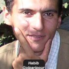 فایل صوتی درخواست حبیب الله گلپری پور از مسوولین قضایی و نهادهای حقوق بشری برای توقف حکم پیش از اجرای اعدام
