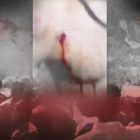 آمریکا و اروپا باید برای جلوگیری از خونریزی بیشتر در ایران مواضع محکم‌تری بگیرند