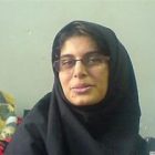 پدر شبنم مددزاده در واکنش به اعتصاب غذای ۹ زندانی سیاسی زن در اوین: مگر چیزی بدتر از هتک حرمت به زن می شود