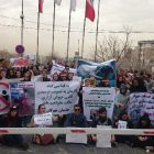 در تجمع صدها تن در تهران مطرح شد: به خشونت علیه حیوانات پایان دهید و قوانین بازدارنده تصویب کنید